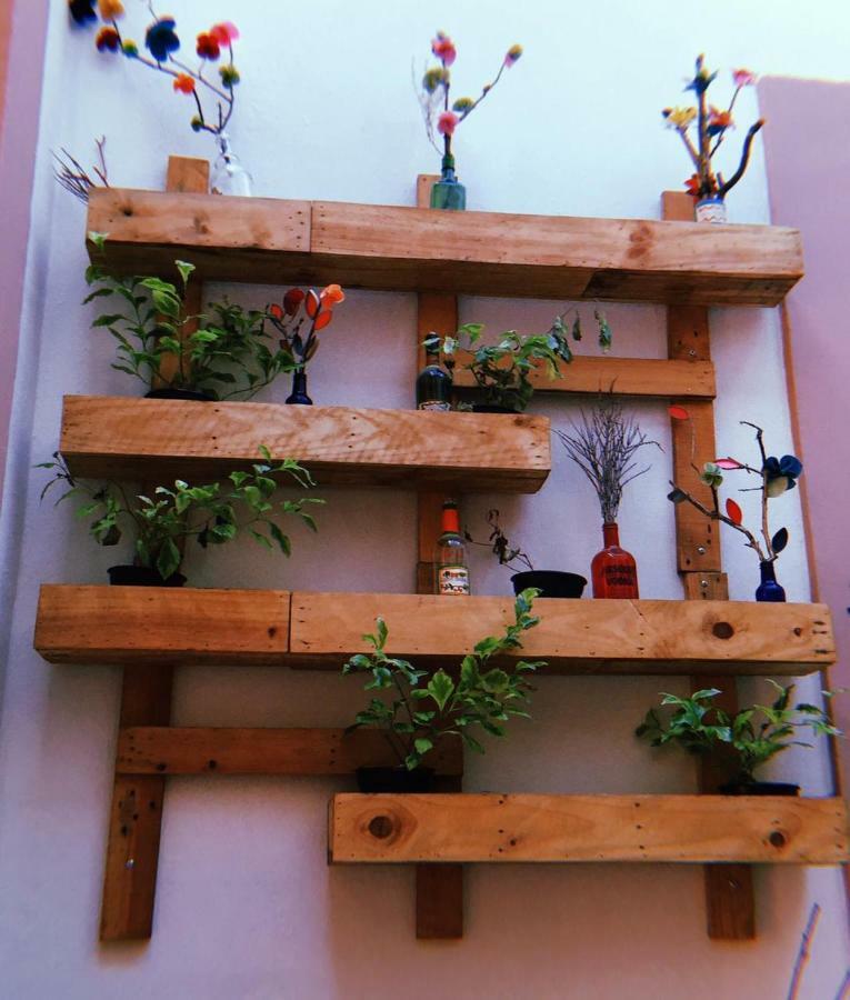 Maria Bonita Hostel Guadalajara Ngoại thất bức ảnh