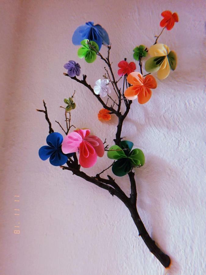 Maria Bonita Hostel Guadalajara Ngoại thất bức ảnh